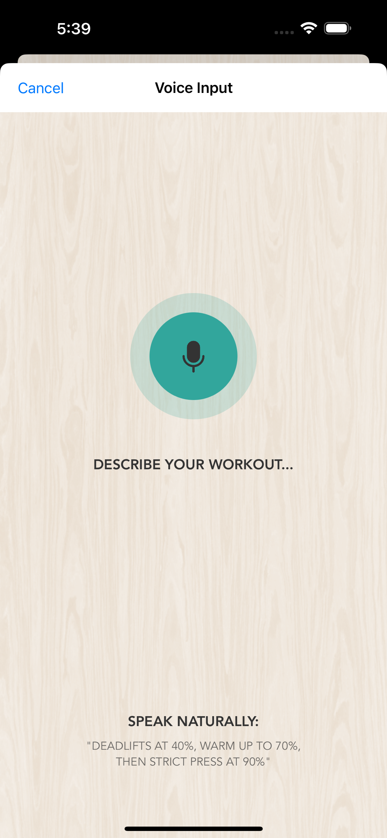 Voice input interface